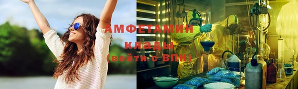 крисы Алексин